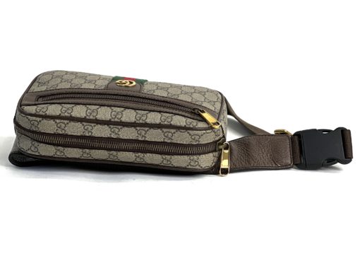 Gucci Ophidia Belt Bag Supreme 7