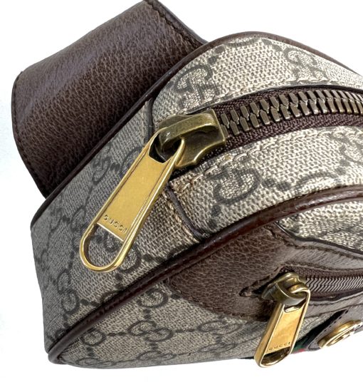 Gucci Ophidia Belt Bag Supreme 17