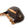 Louis Vuitton Brown Monogram Bumbag 7