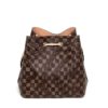 Louis Vuitton Damier Ebene Venus NéoNoé MM  10