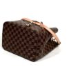Louis Vuitton Damier Ebene Venus NéoNoé MM  15