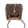 Louis Vuitton Damier Ebene Venus NéoNoé MM  11