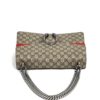 Gucci Supreme Monogram Dionysus Medium Shoulder Bag Red 4