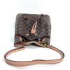 Louis Vuitton Damier Ebene Neonoe MM Venus Pink 15