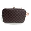 Louis Vuitton Damier Ebene Neonoe MM Venus Pink 14