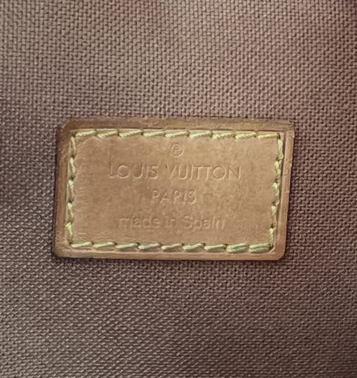 Louis Vuitton Monogram Pochette Gange 14