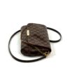Louis Vuitton Damier Ebene Favorite MM Crossbody 17