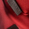 Louis Vuitton Siena PM Ebene Satchel or Crossbody (Copy) 11