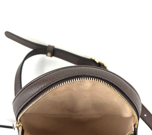 Gucci Ophidia Supreme Canvas Mini Round Backpack 15