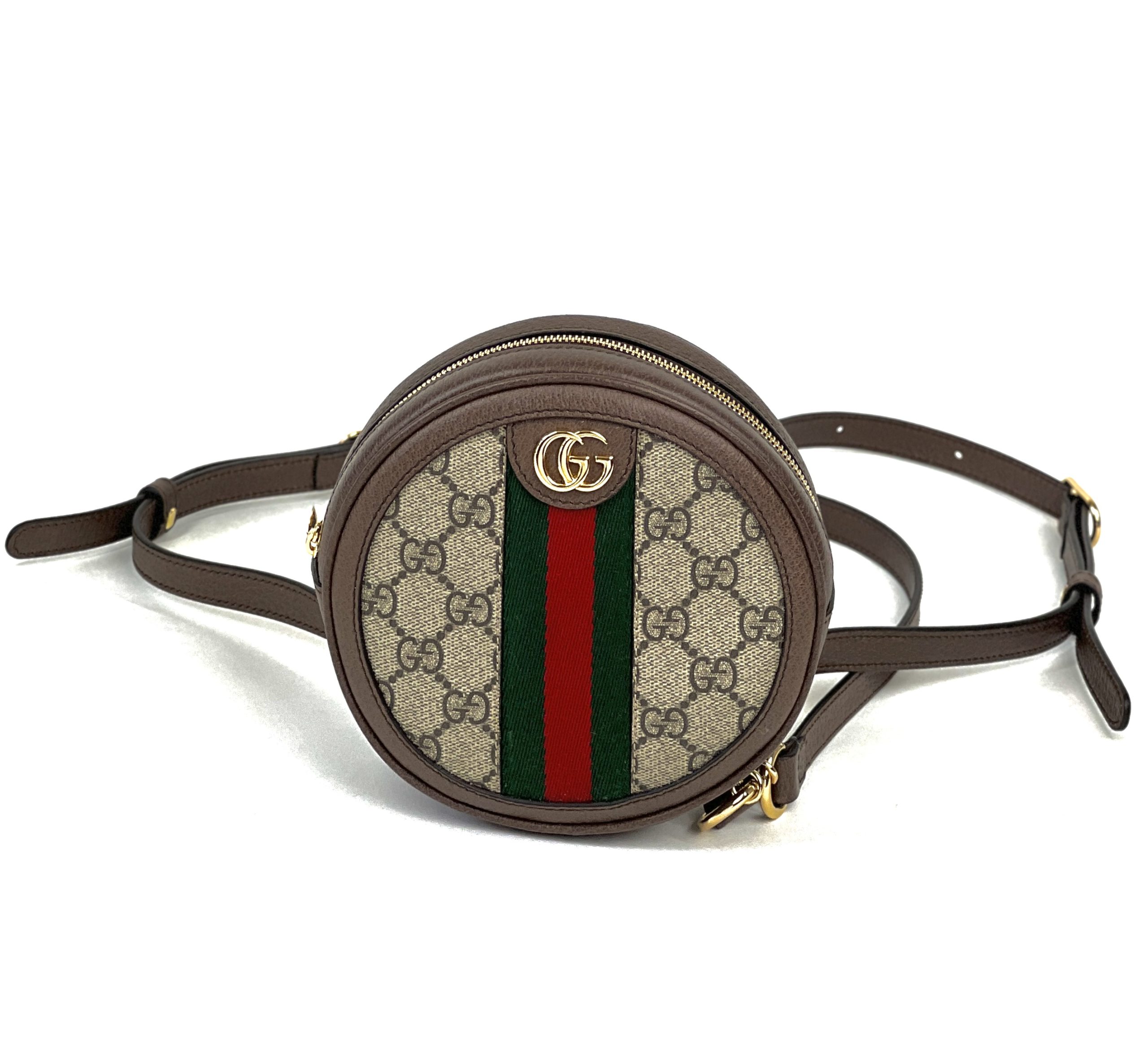 Gucci Ophidia GG Small Handbag: Review, Mod Shots, Worth It? 