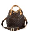 Louis Vuitton Monogram Eden Neo 2way Shoulder Bag 2