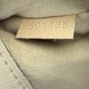 Louis Vuitton Pallas Dune Monogram Shoulder Bag 18