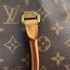Louis Vuitton Pallas Dune Monogram Shoulder Bag 21