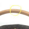 Louis Vuitton Gaia Monogram Tote with Cerise Red 19