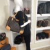Louis Vuitton Monogram Estrela MM Shoulder Bag 5