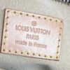 Louis Vuitton Monogram Estrela MM Shoulder Bag 13