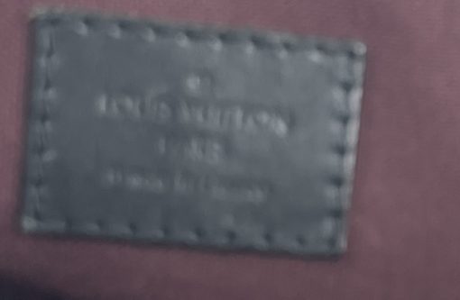 Louis Vuitton Monogram Macassar Torres PM Crossbody 15
