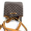 Louis Vuitton Damier Ebene Neo Noe Saffron 2022 19