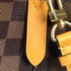 Louis Vuitton Damier Ebene Neo Noe Saffron 17