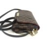 Louis Vuitton Ebene Favorite PM Crossbody 15