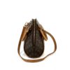 Louis Vuitton Monogram Ellipse PM 6