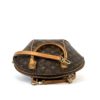 Louis Vuitton Monogram Ellipse PM 11