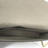Louis Vuitton Felicie Turtledove Bicolor Crossbody with Both Inserts 17