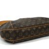Louis Vuitton Monogram Thames GM 14