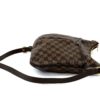 Louis Vuitton Damier Ebene Bloomsbury PM Crossbody Bag 8