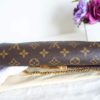 Louis Vuitton Monogram Favorite MM 14