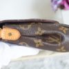 Louis Vuitton Monogram Favorite MM 10