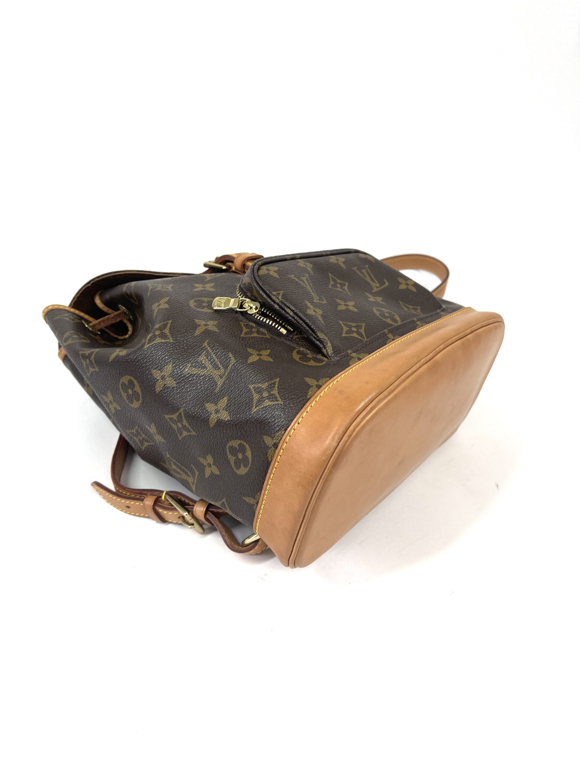 Louis Vuitton Damier Ebene Montsouris MM Backpack Bag