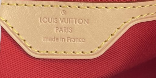 Louis Vuitton Monogram Canvas Carry it Tote Bag 14