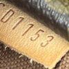 Louis Vuitton Monogram Totally MM 20