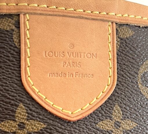 Louis Vuitton Monogram Delightful PM Shoulder Bag 17