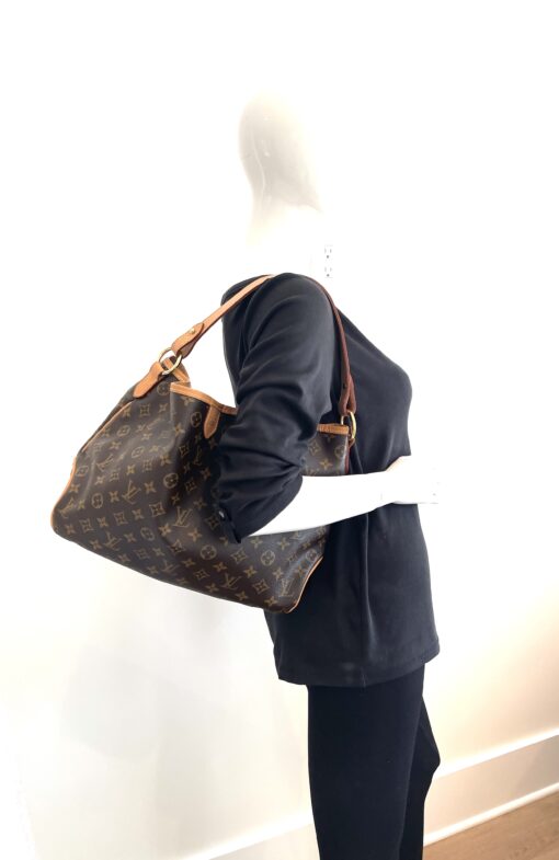 Louis Vuitton Monogram Delightful PM Shoulder Bag 10