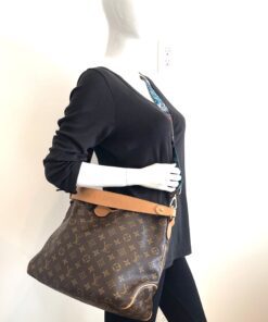 Louis Vuitton Monogram Delightful PM Shoulder Bag 2