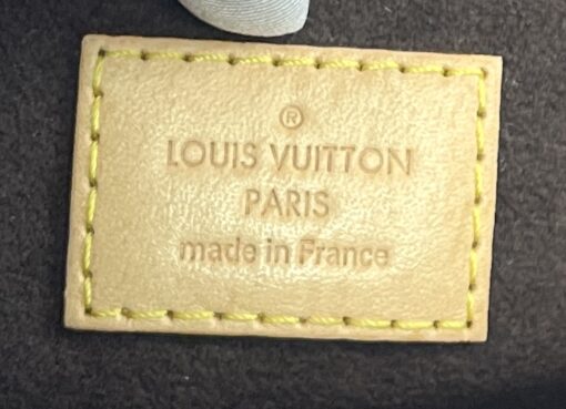 Louis Vuitton Monogram Canvas Pochette Metis 12