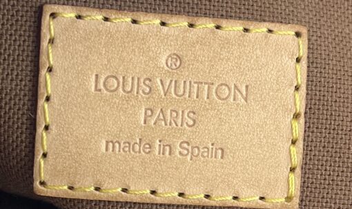 Louis Vuitton Monogram Odeon PM Crossbody 13