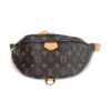 Louis Vuitton Brown Monogram Bumbag 21