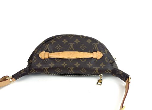 Louis Vuitton Brown Monogram Bumbag 17