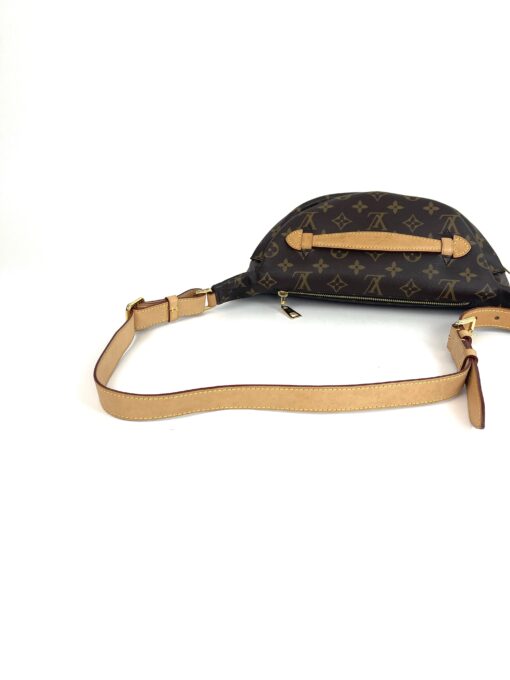 Louis Vuitton Brown Monogram Bumbag 14