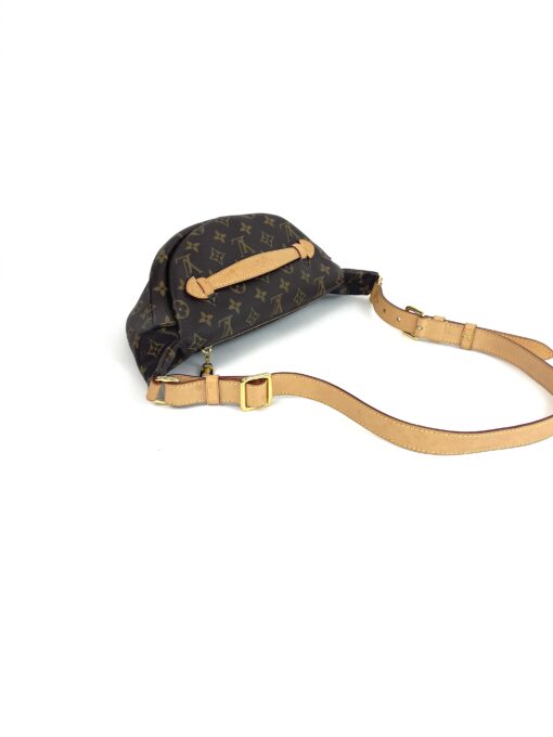 Louis Vuitton Brown Monogram Bumbag 13