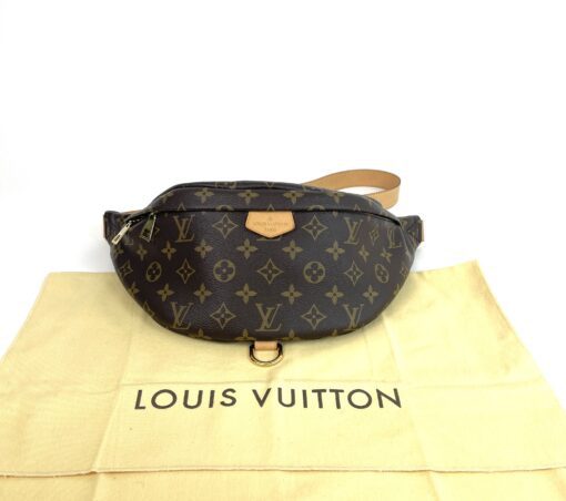 Louis Vuitton Brown Monogram Bumbag 5