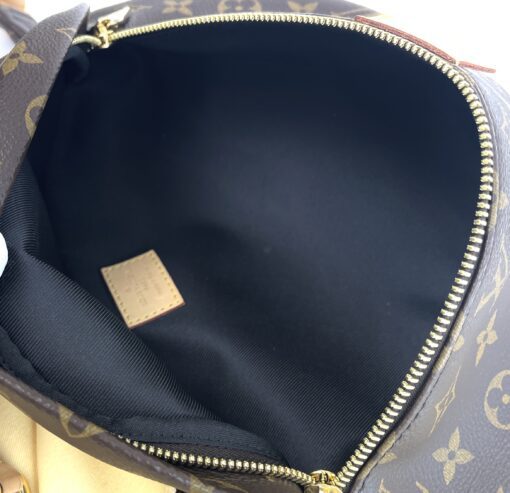 Louis Vuitton Brown Monogram Bumbag 7