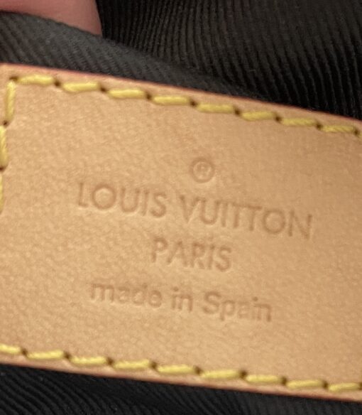 Louis Vuitton Brown Monogram Bumbag 5