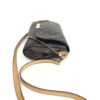 Louis Vuitton Monogram Favorite MM 14