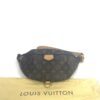 Louis Vuitton Monogram Bumbag Brown 2020 7