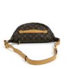 Louis Vuitton Monogram Bumbag Brown 2020 5