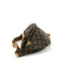Louis Vuitton Monogram Bumbag Brown 2020 4